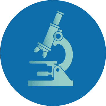 Home research icon