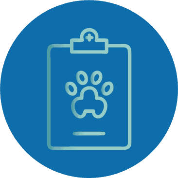 Home veterinary icon