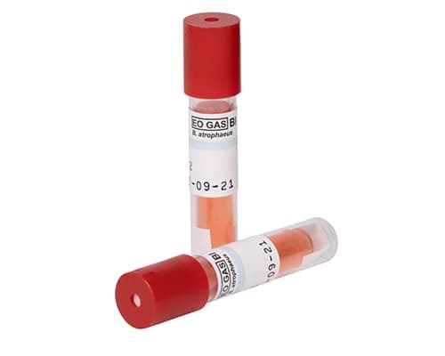 AN2203 EZTest Biological Indicator