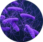 C. Diff superbug