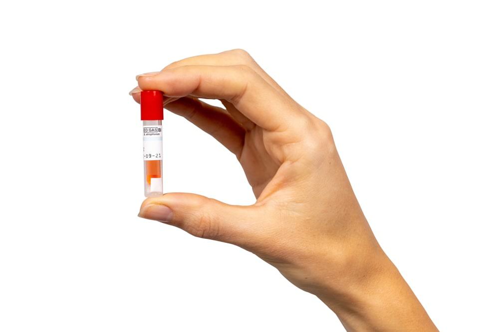 AN2203 EZTest Biological Indicator