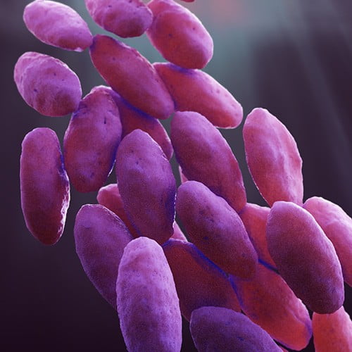 Carbapenem-resistant Enterobacteriaceae (CRE)