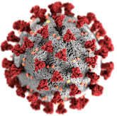 Covid Molecule, during covid we offer touch-free sterilizer repair