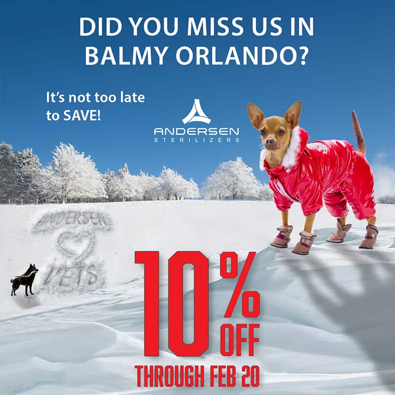 Winter Wonderland Promo