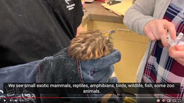 Avian & Exotic Animal Care In-Service